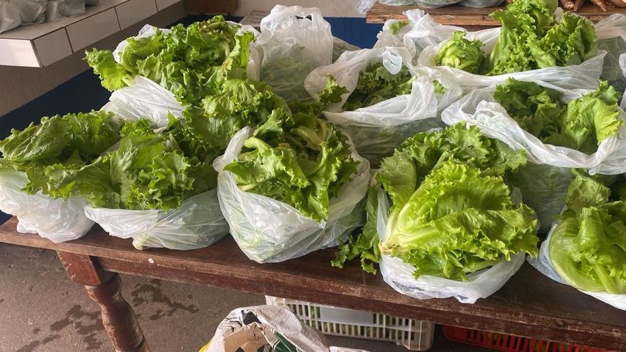 Assistência Social inicia entrega de alimentos do PAA e fortalece apoio às famílias do município
